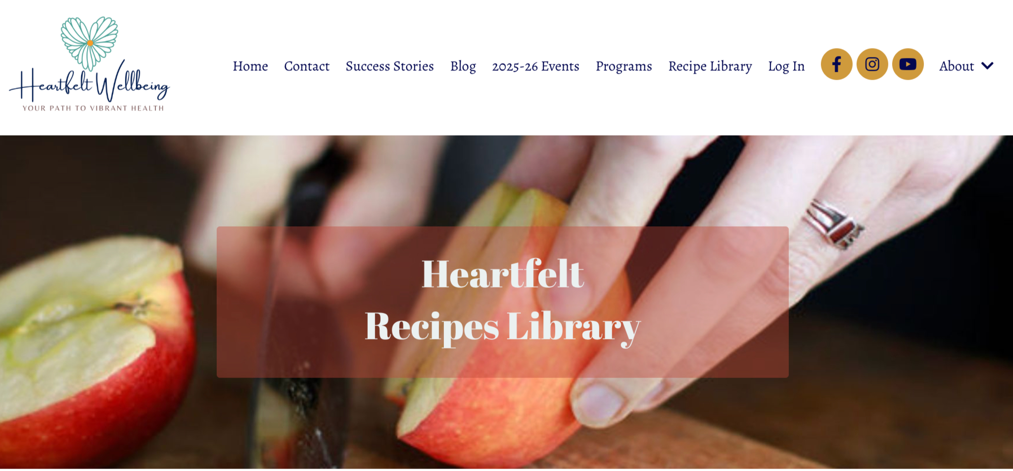 Orion Home Renovations Website